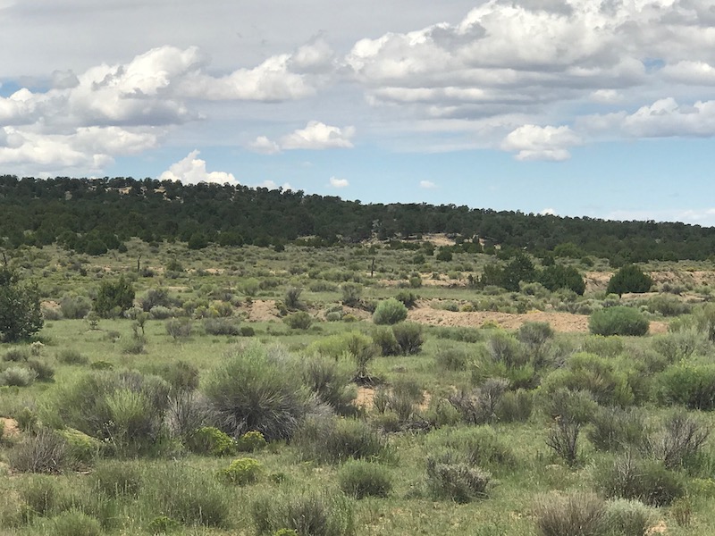 Ponderosa Ranches Lot 13 New Mexico Land for Sale 148.69 Acres